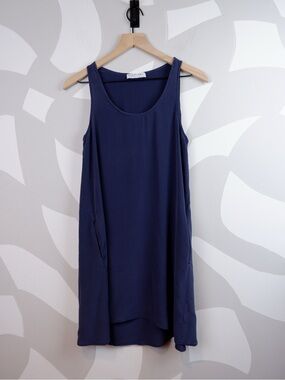 Sheer Navy Everlane Shift Dress | S
